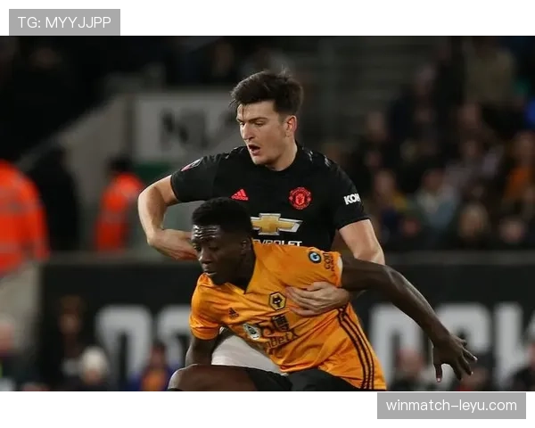 狼队深陷伤病潮，阵容困境拖累联赛表现引关注