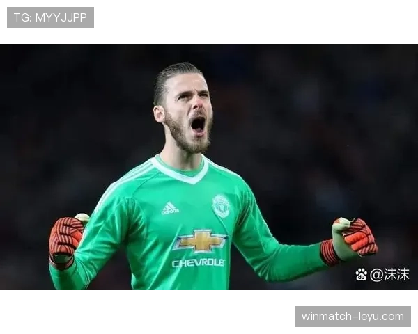 欧洲杯历史再刷新：守门员零封纪录创历史新高，赛事影响力持续攀升